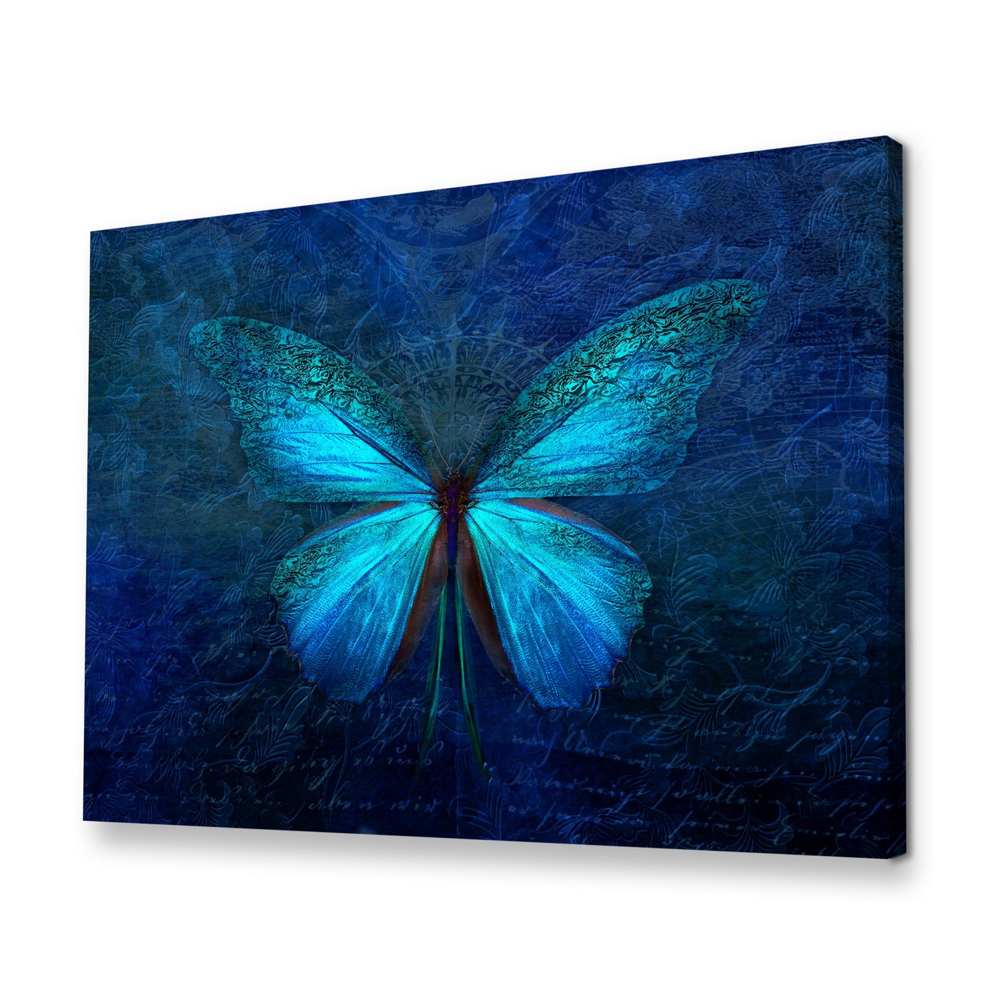 Blue Butterfly