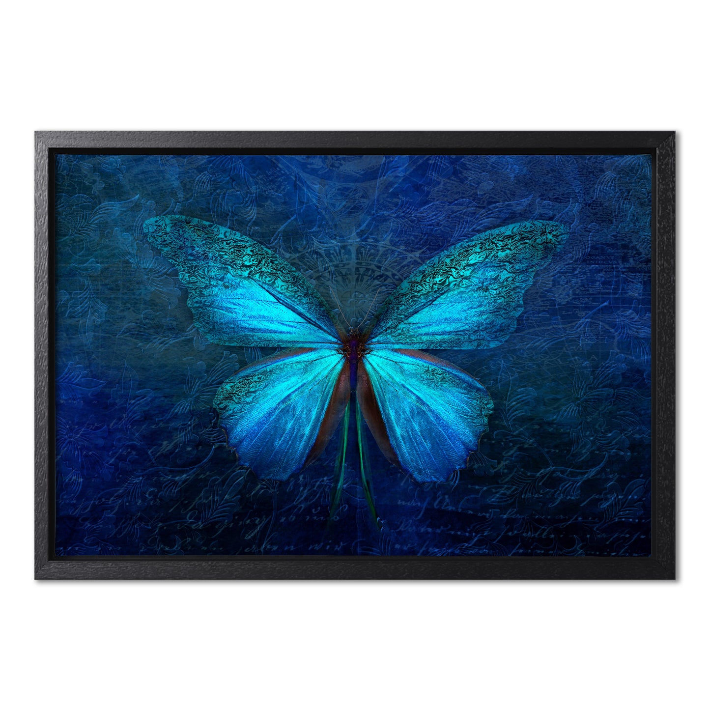 Blue Butterfly
