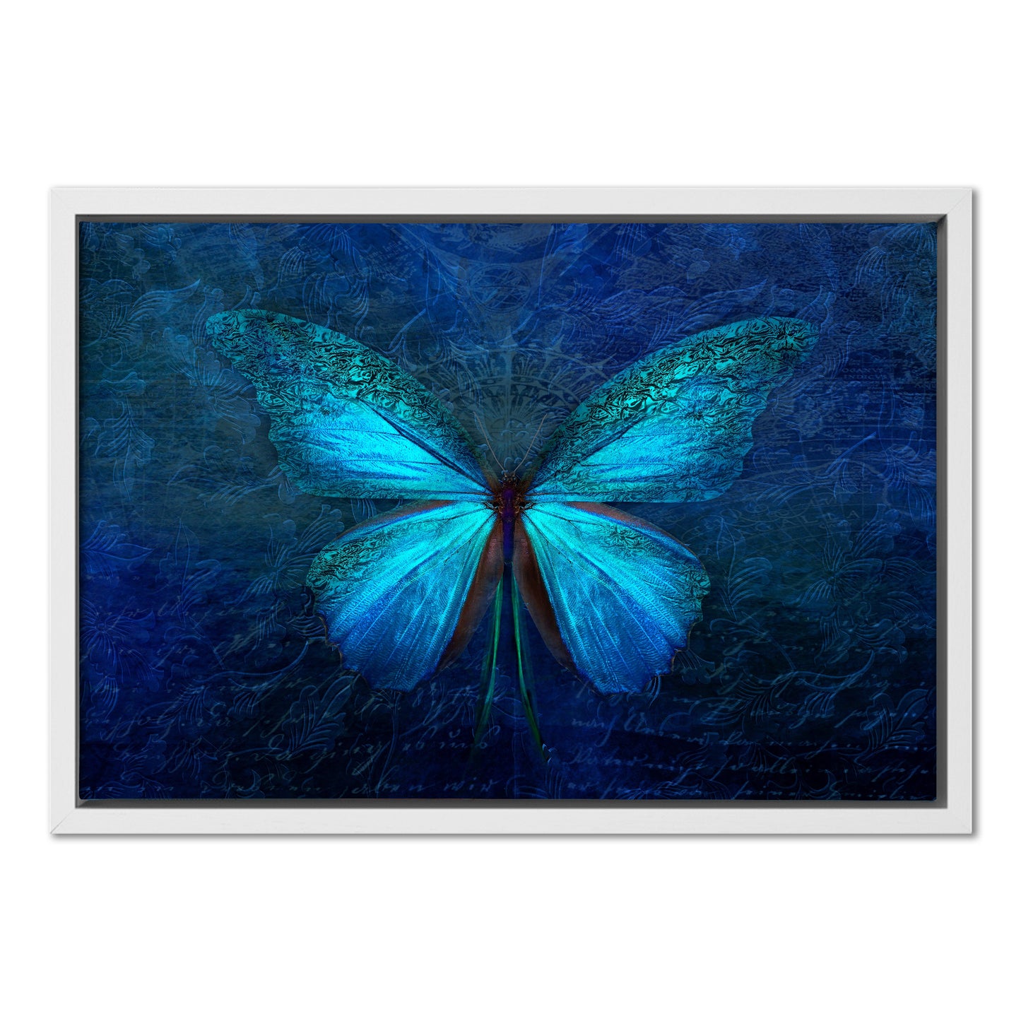 Blue Butterfly