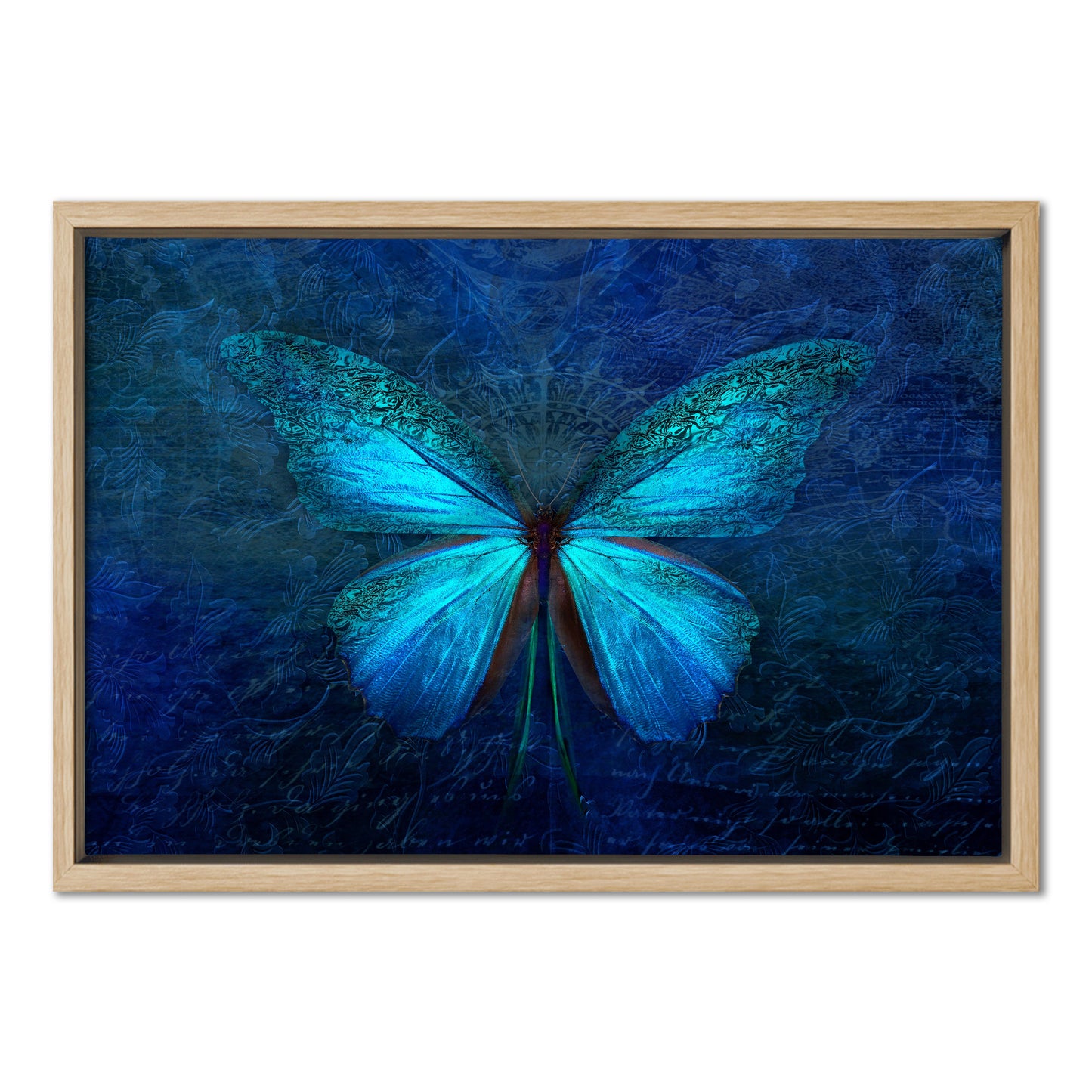 Blue Butterfly