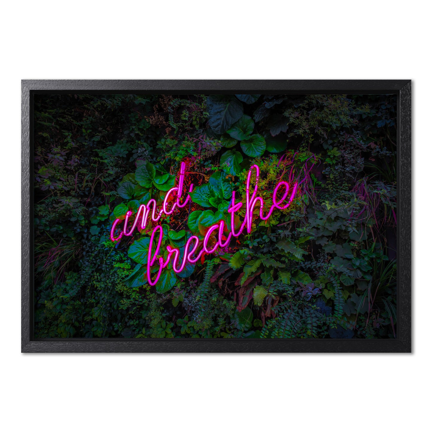 And Breathe Pink Neon
