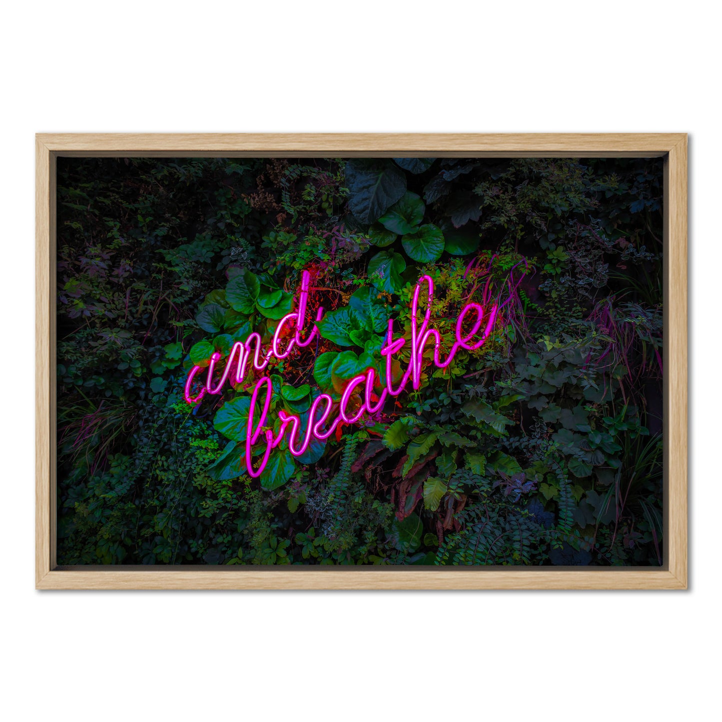 And Breathe Pink Neon