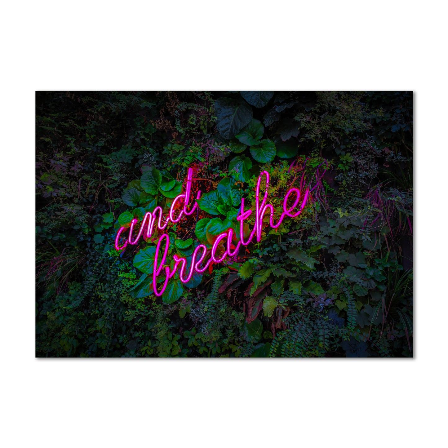 And Breathe Pink Neon