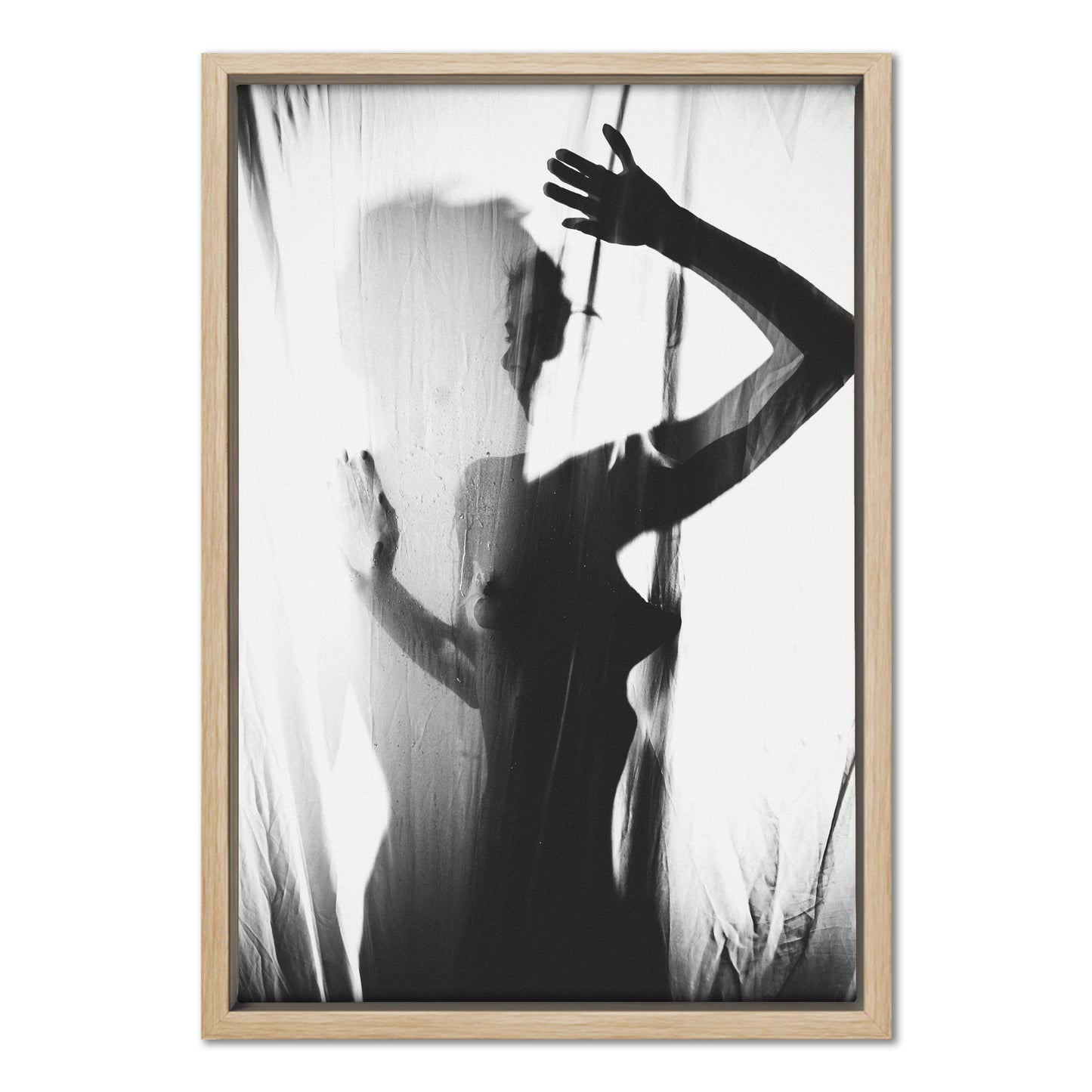 Veiled Light