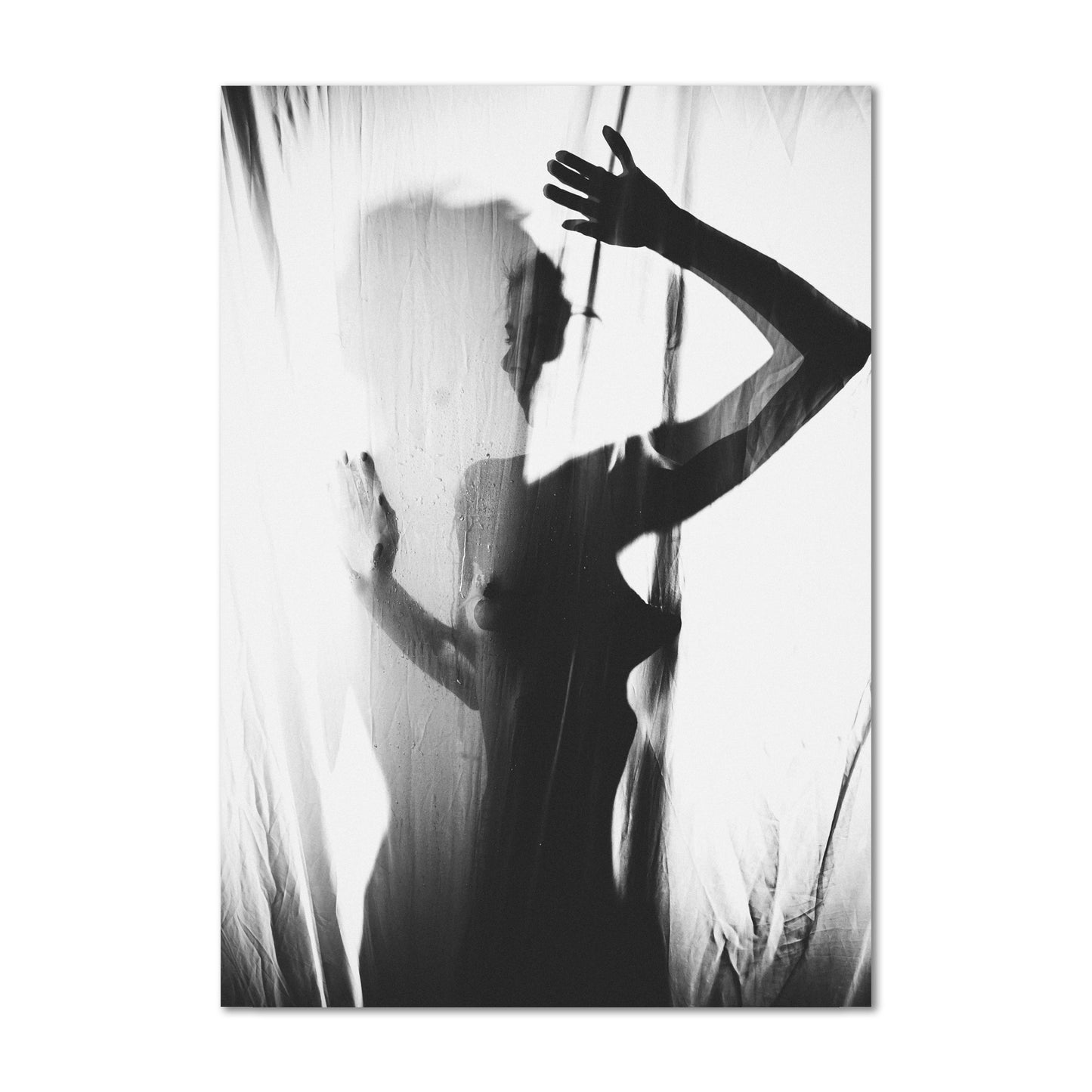 Veiled Light