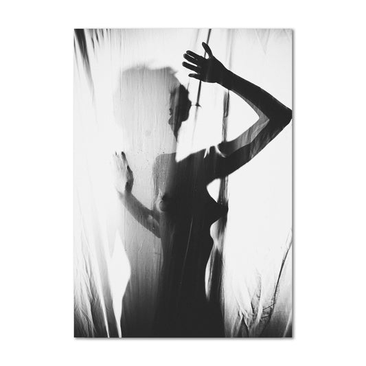 Veiled Light Canvas Art