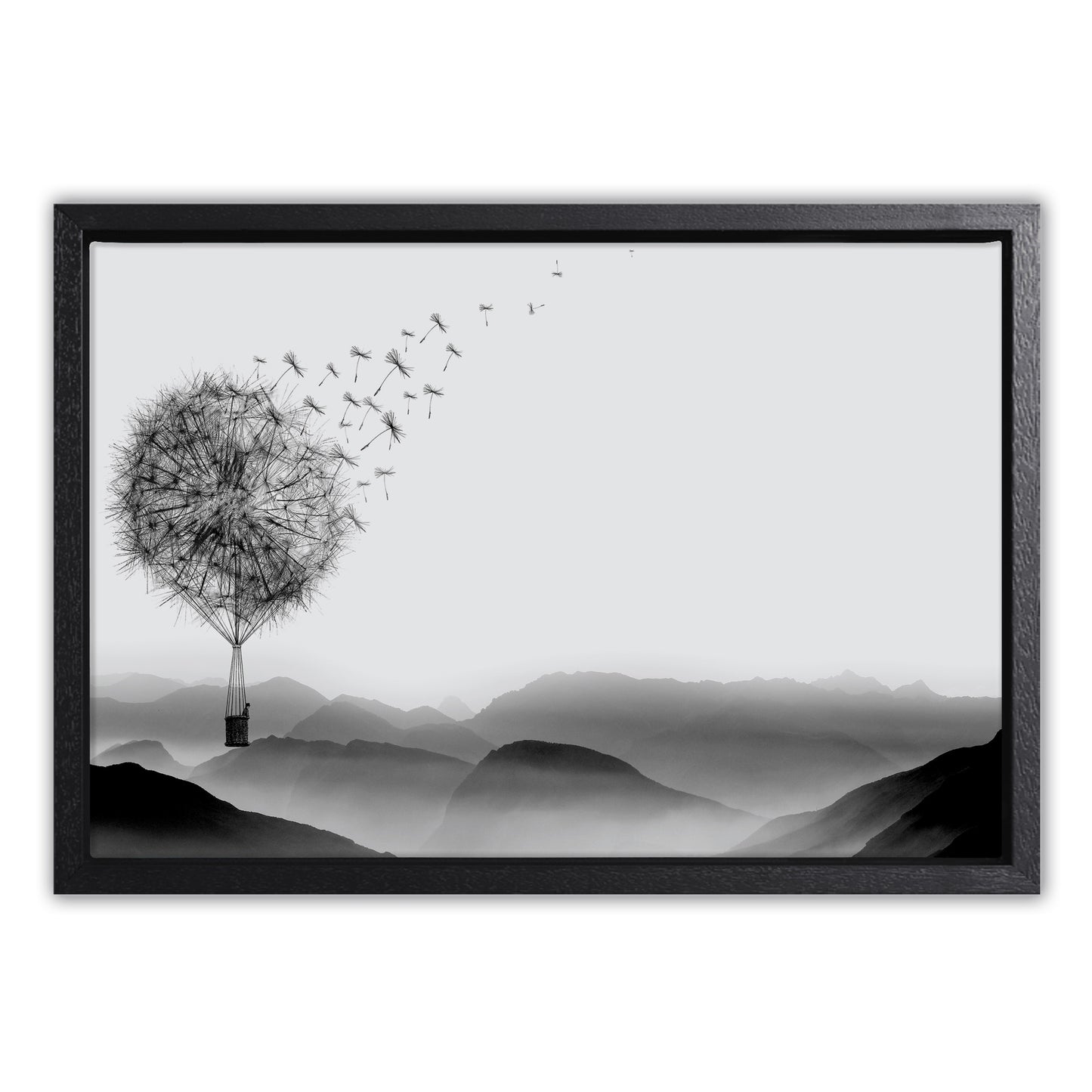 Air Dandelion Canvas Art