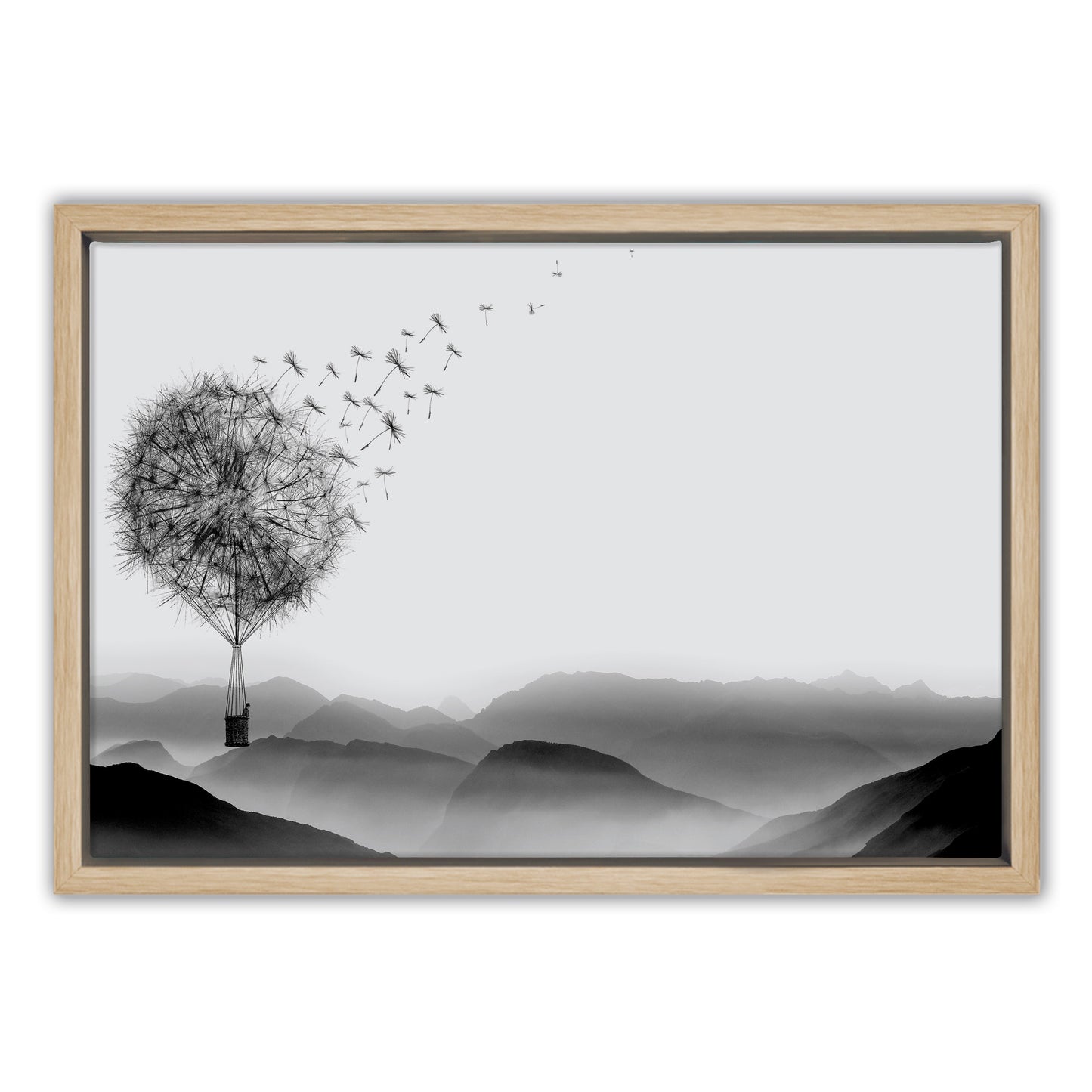 Air Dandelion Canvas Art