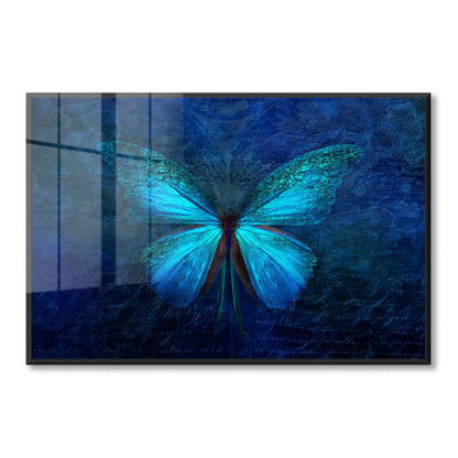 Blue Butterfly Acrylic Art Print