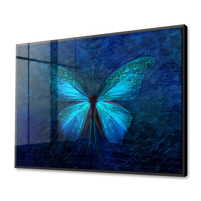 Blue Butterfly Acrylic Art Print