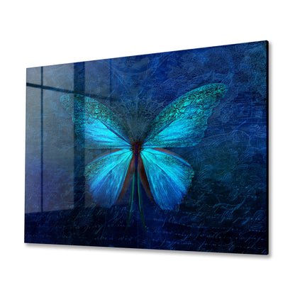Blue Butterfly Acrylic Art Print