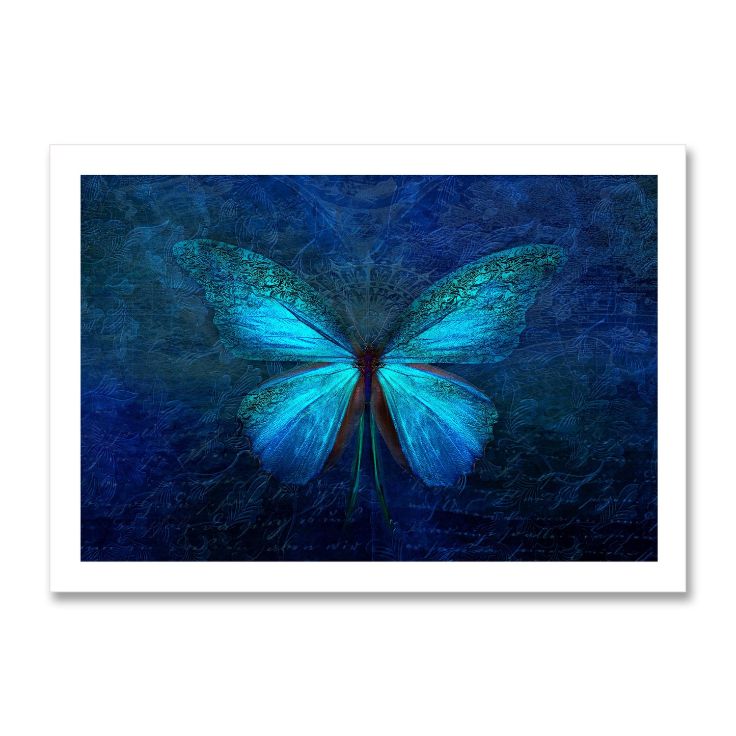 Blue Butterfly Poster Print