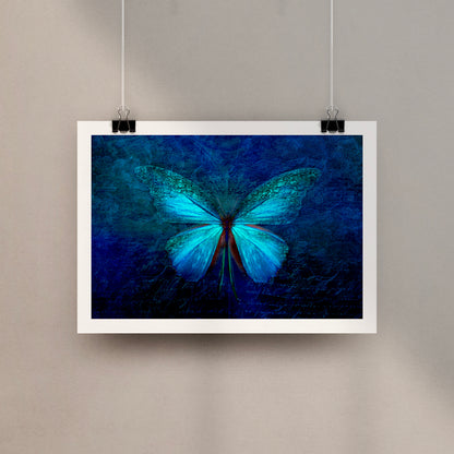 Blue Butterfly Poster Print