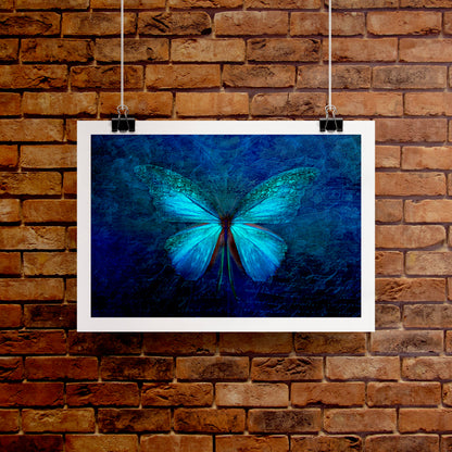 Blue Butterfly Poster Print
