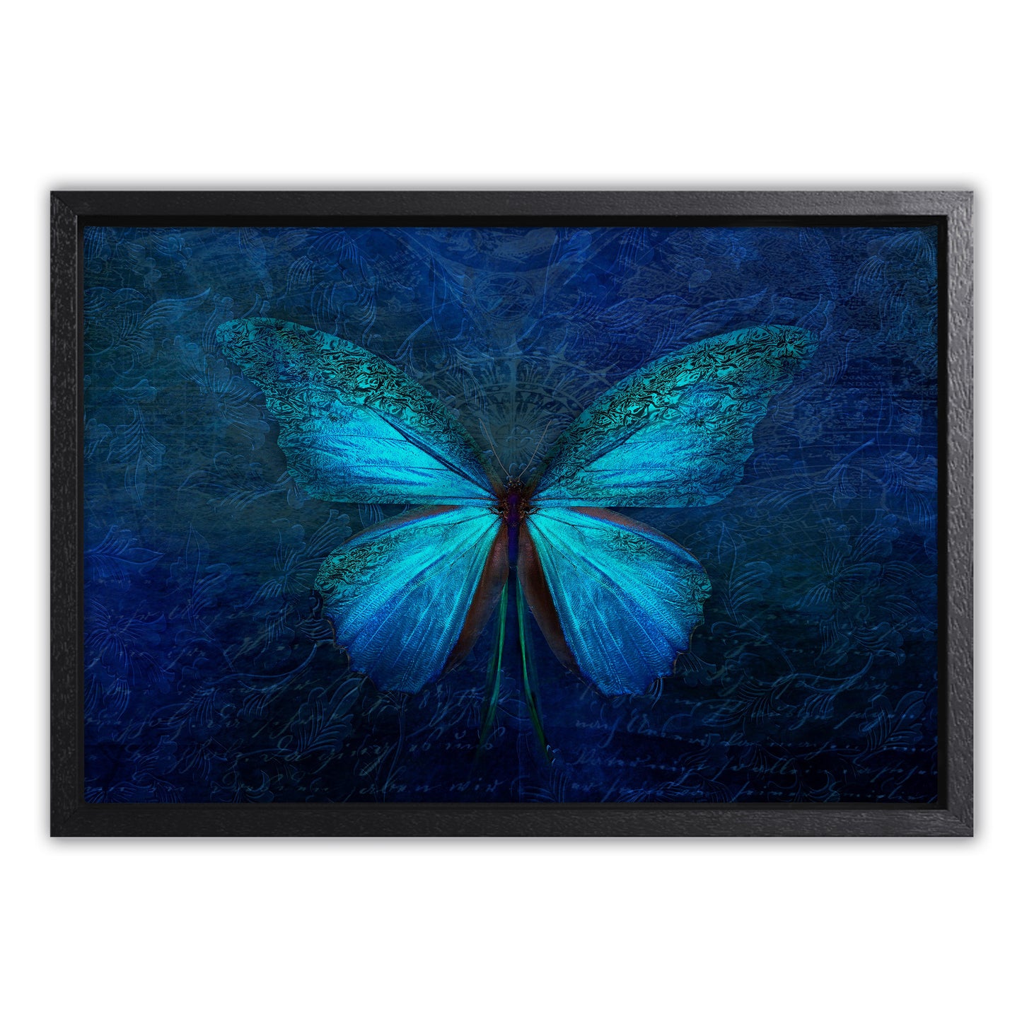 Blue Butterfly Canvas Art Print