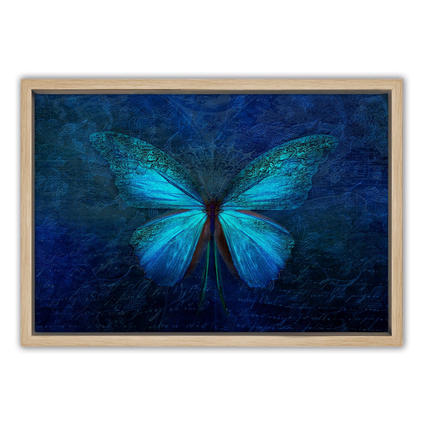 Blue Butterfly Canvas Art Print