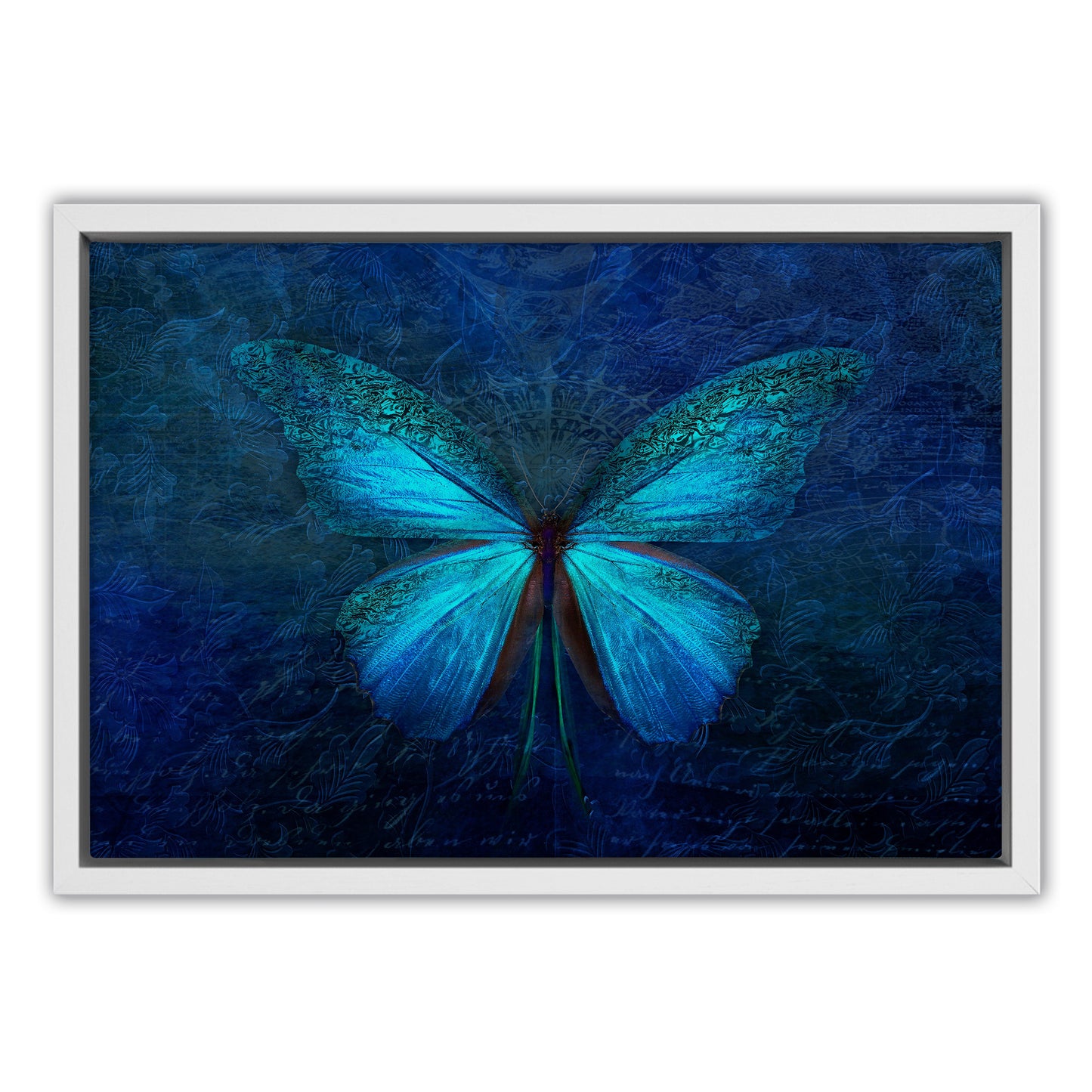 Blue Butterfly Canvas Art Print
