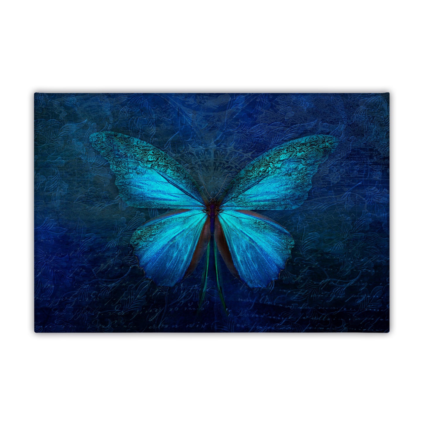 Blue Butterfly Canvas Art Print