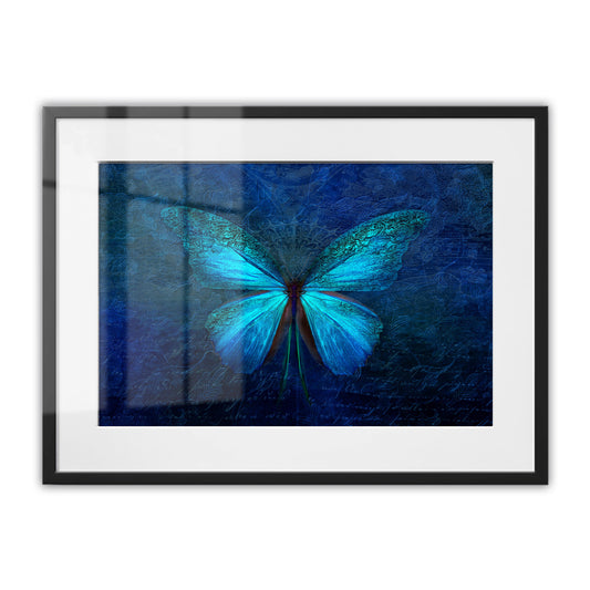Blue Butterfly Framed Art Print