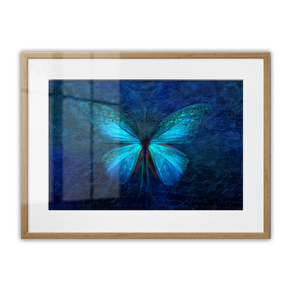 Blue Butterfly Framed Art Print