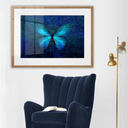Blue Butterfly Framed Art Print