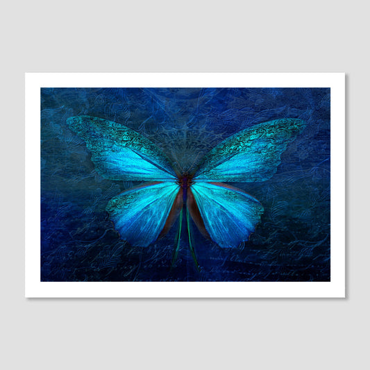 Blue Butterfly Art Print