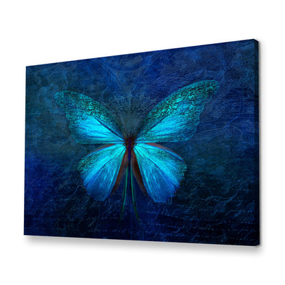 Blue Butterfly
