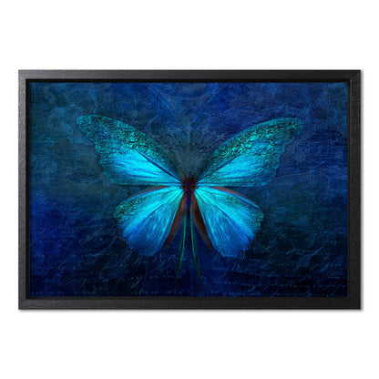 Blue Butterfly