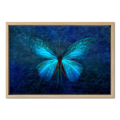 Blue Butterfly