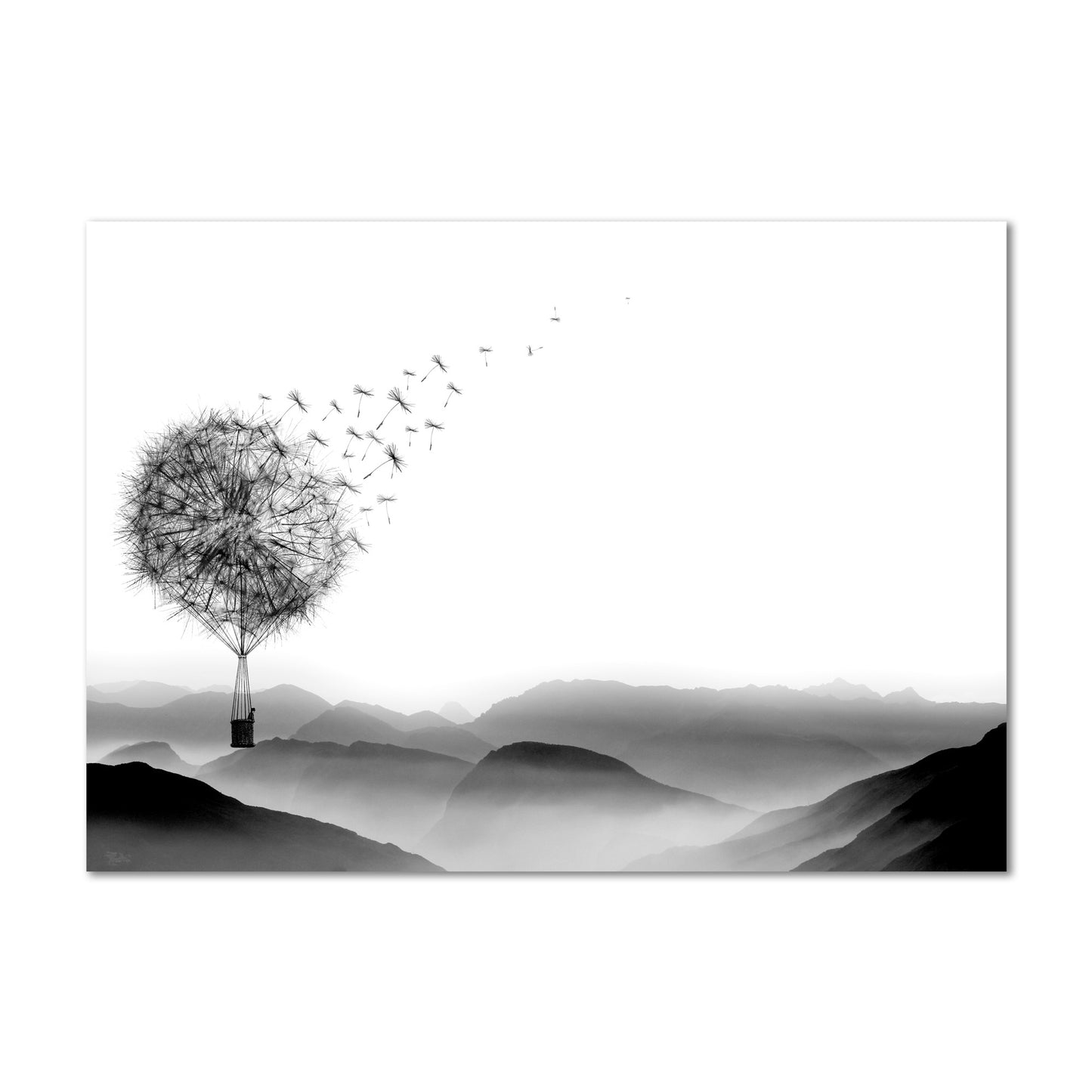 Air Dandelion