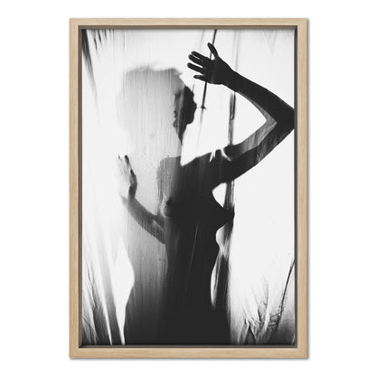 Veiled Light